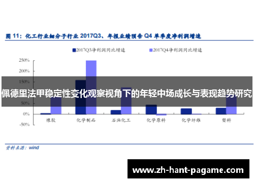 佩德里法甲稳定性变化观察视角下的年轻中场成长与表现趋势研究